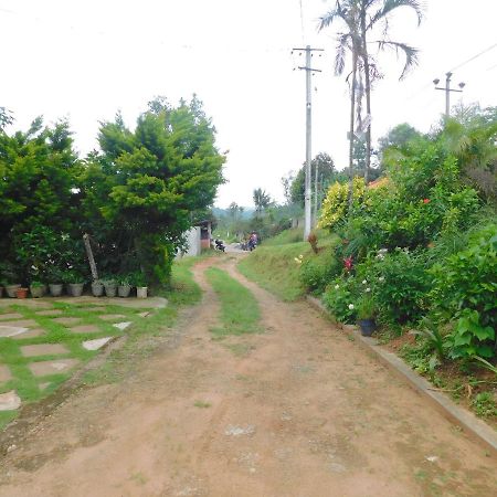 Cauvery Homestay Somvārpet Exteriér fotografie